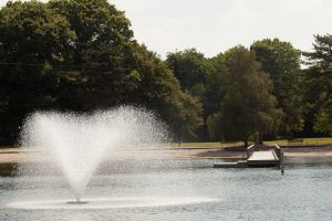 IMG_1034